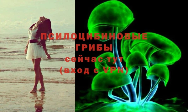 герыч Алзамай