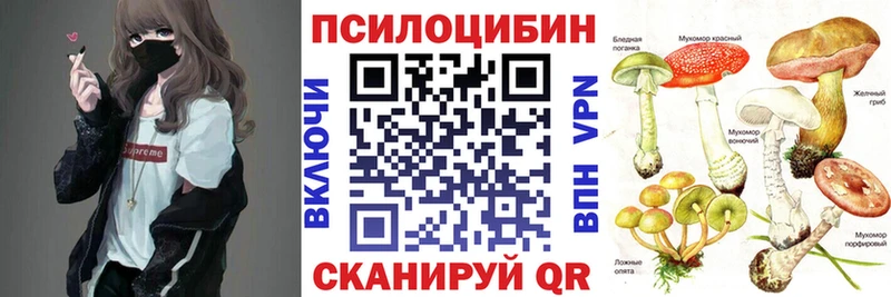 Галлюциногенные грибы прущие грибы  наркота  Петровск-Забайкальский 